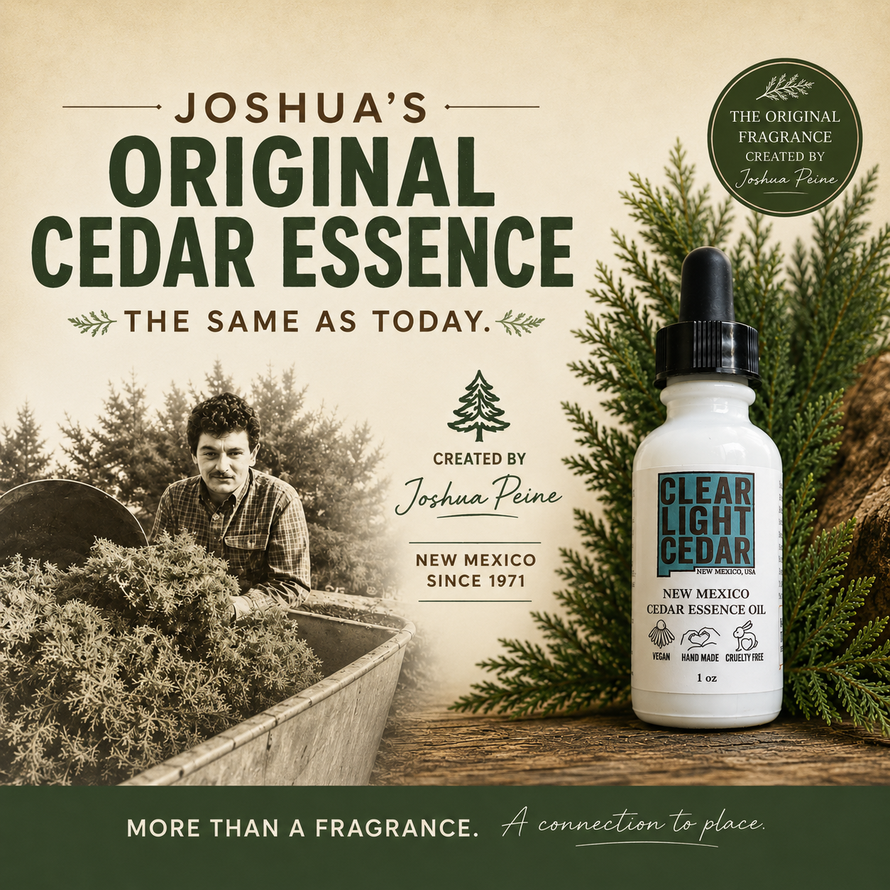 New Mexico Cedar Essence Oil – 1 oz — Clear Light Cedar - New